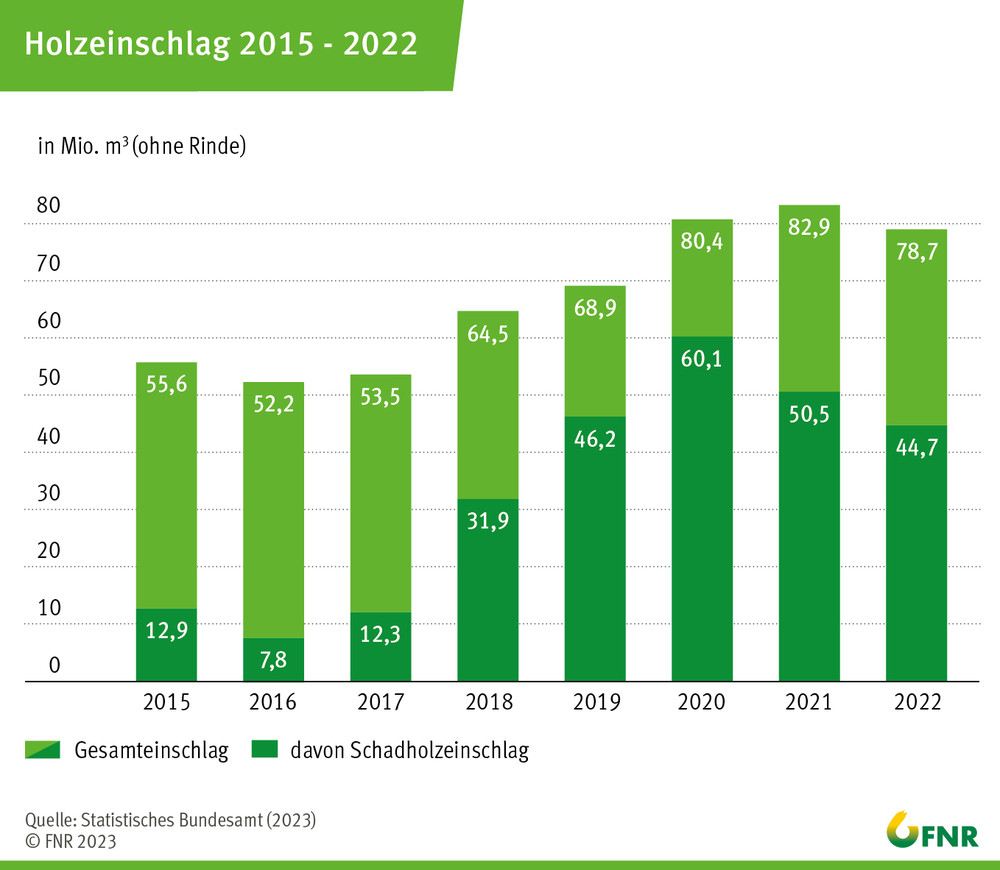 Holzeinschlag 2015-2022