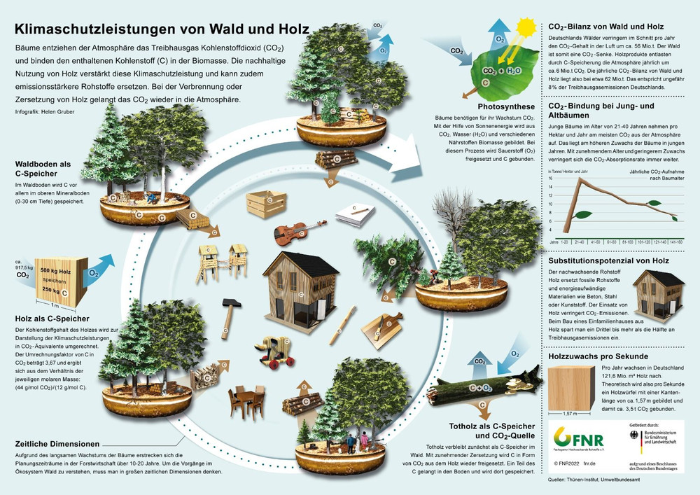Infografik Klimaschutzleistungen von Wald und Holz